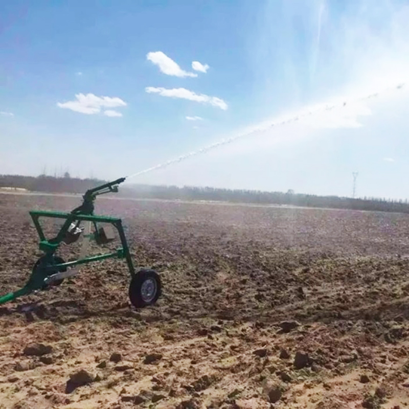 2 Inch Rustproof Large Farm Lo - огляд і ціна Agriculture Farming Degree