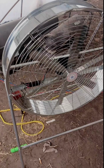 Speed Adjustable Industrial Fa - огляд і ціна Agriculture Farm House