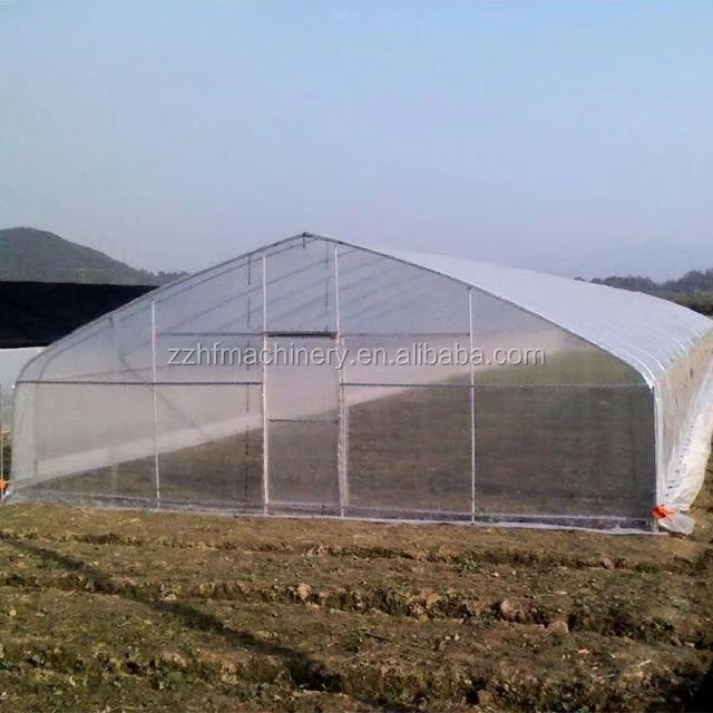 Large Walk-in Garden Greenhous - огляд і ціна Agriculture Farm House